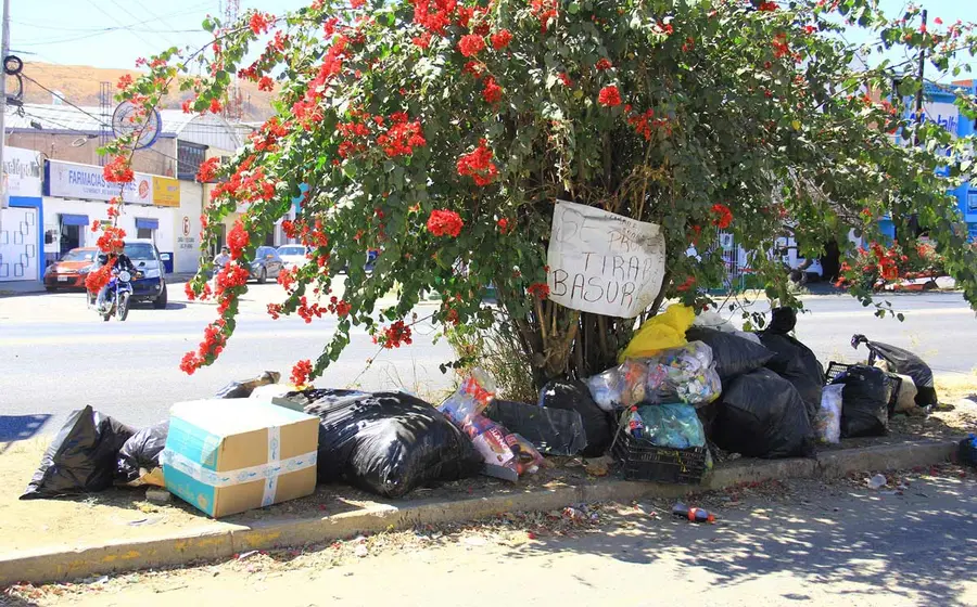 basura 