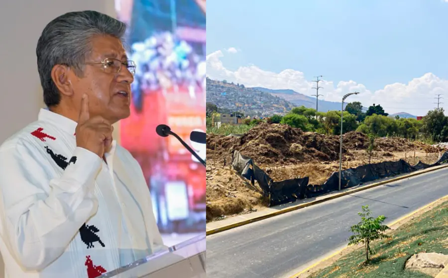 La zona se encuentra libre de residuos.
