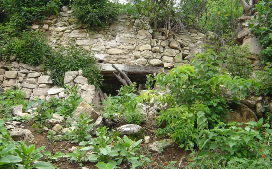 Molino