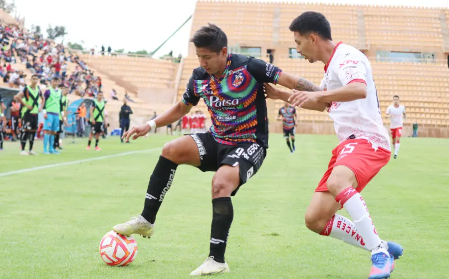 chupy_gonzález_alebrijes