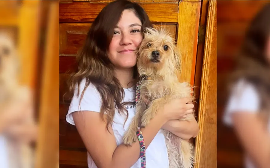 alma_pasea_lomitos