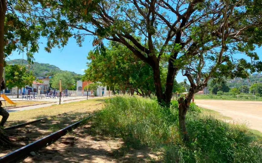 arboles 