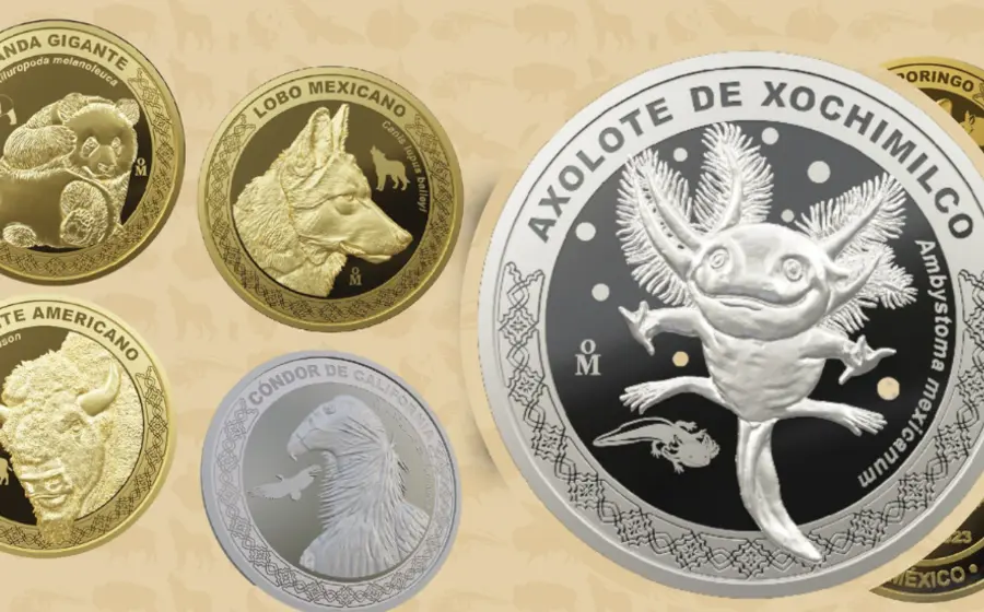 Monedas de axolotito