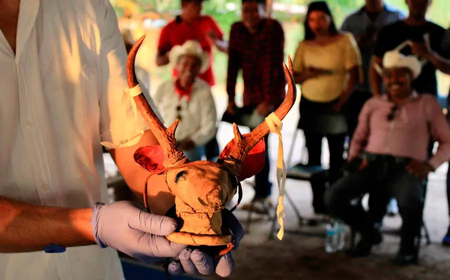 cabeza-de-venado 