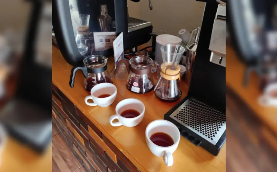 cafe_mixteca_alta