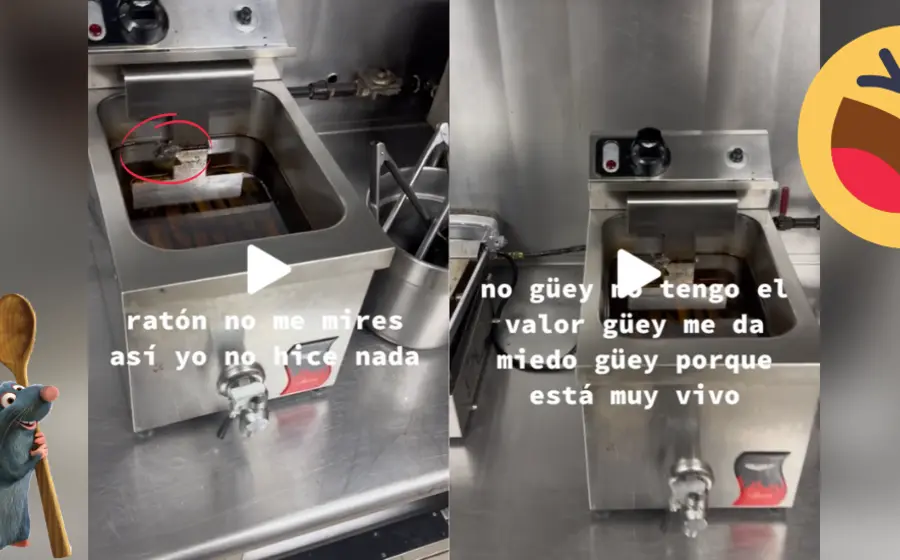 Ratón en freidora