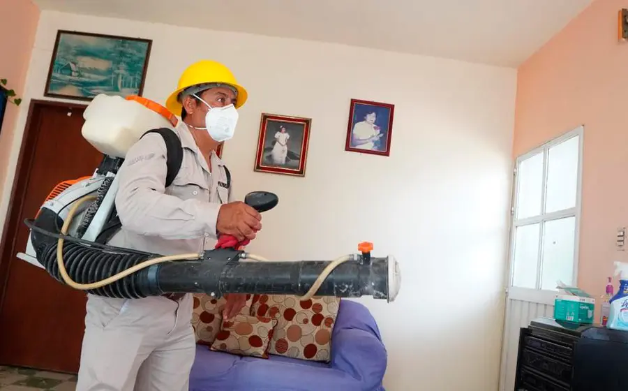 dengue 
