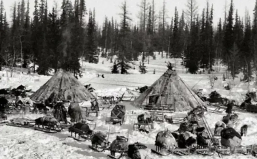 Tribu