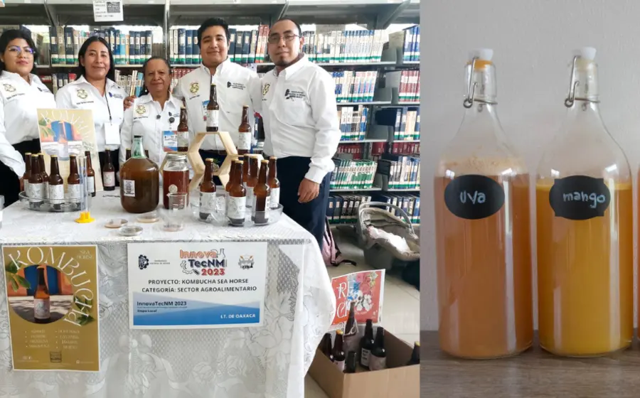 kombucha8
