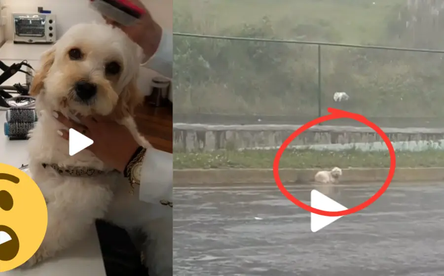Lluvia encontrada en carretera