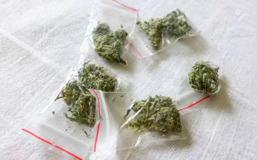 marihuana 