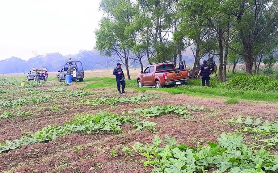 campo 