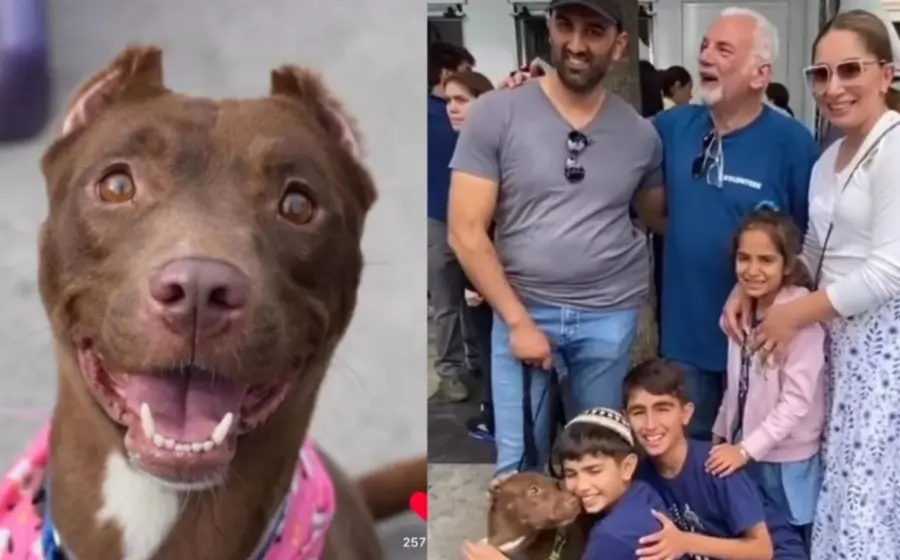 reencuentran_a_perrita_mocha