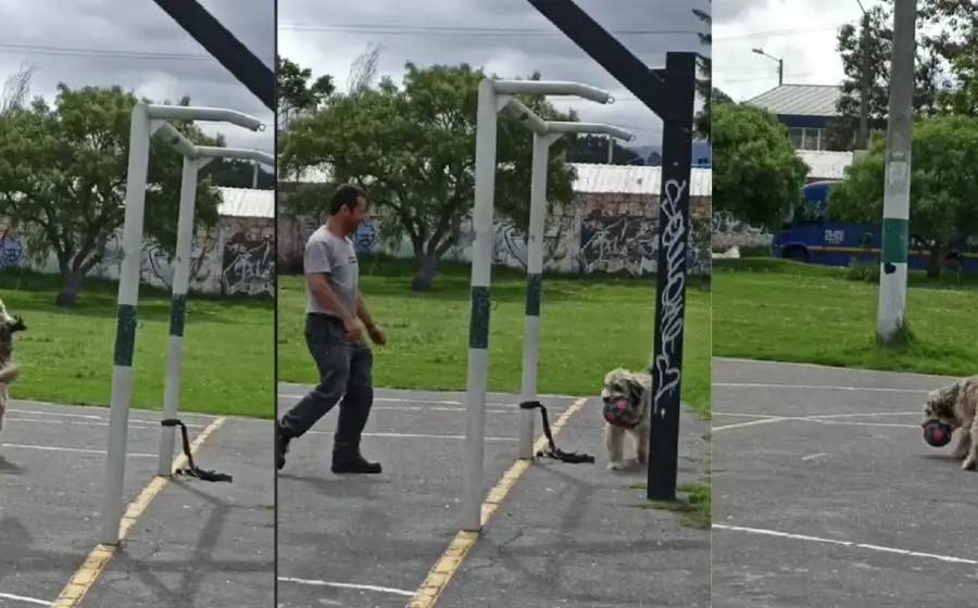 perrito-portero