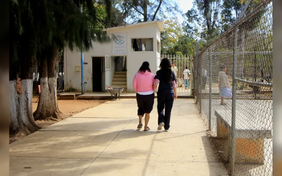 Rehabilitación 