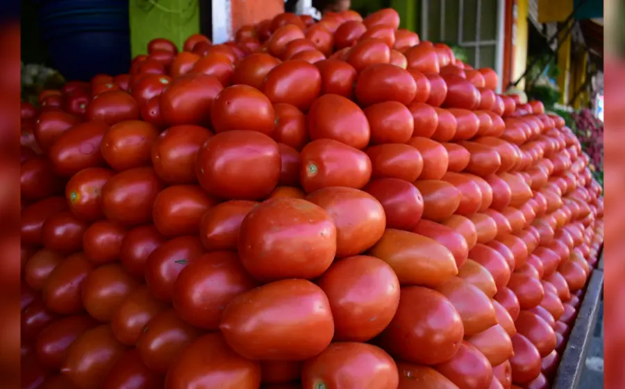 Tomate