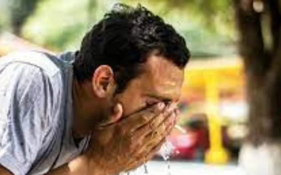Ola de calor