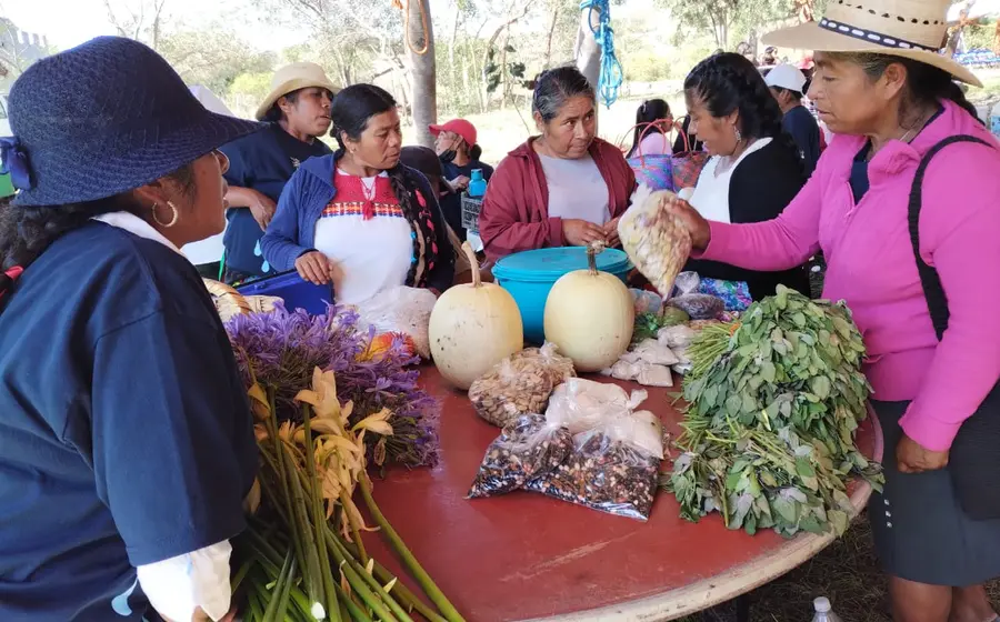 agricultores 