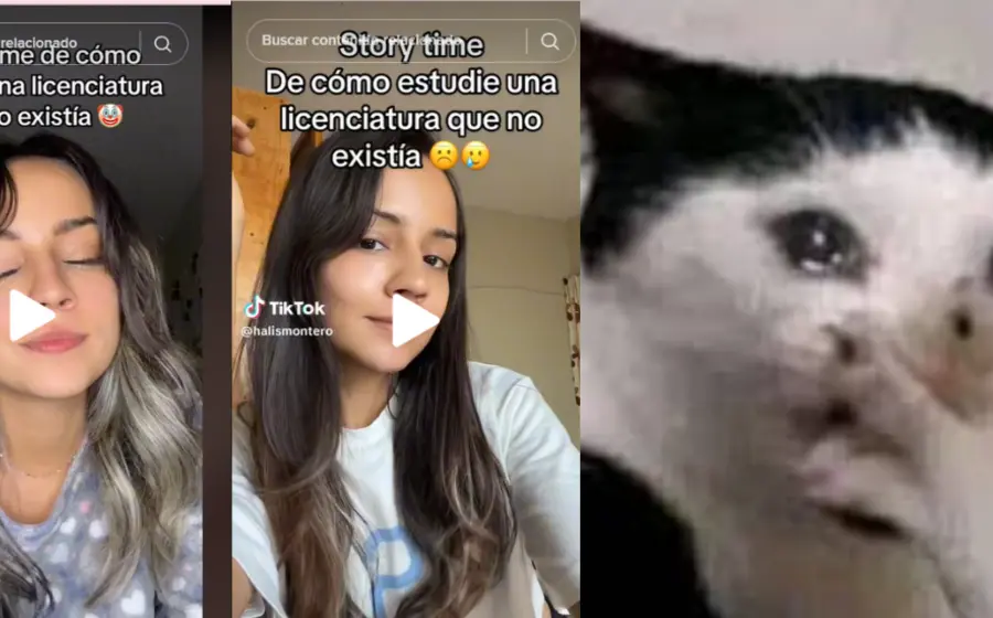 Estudia-carrera-gato