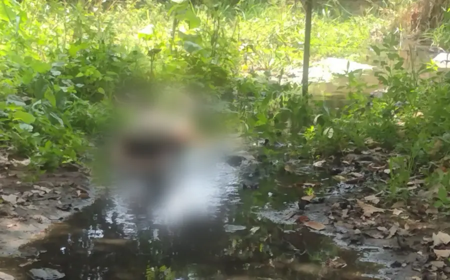 Fue localizado el cuerpo de una persona que presentaba impactos de arma de fuego.