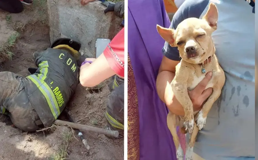perrito_rescatado_por_bomberos