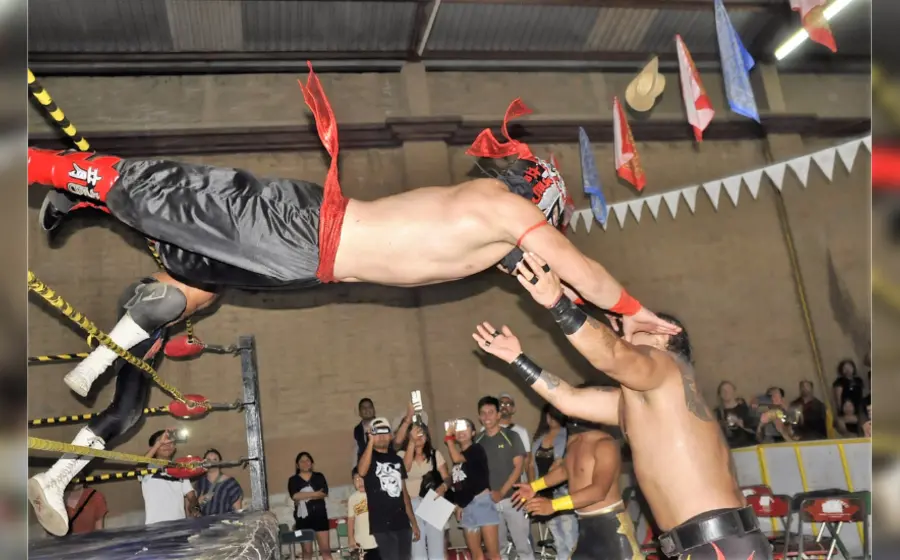 octagon_junior_sobre_pirata_junior