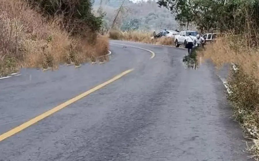 Es encontrado sobre carretera