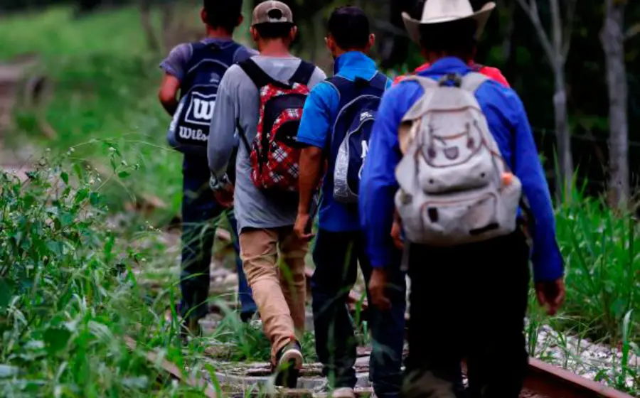 migrantes 