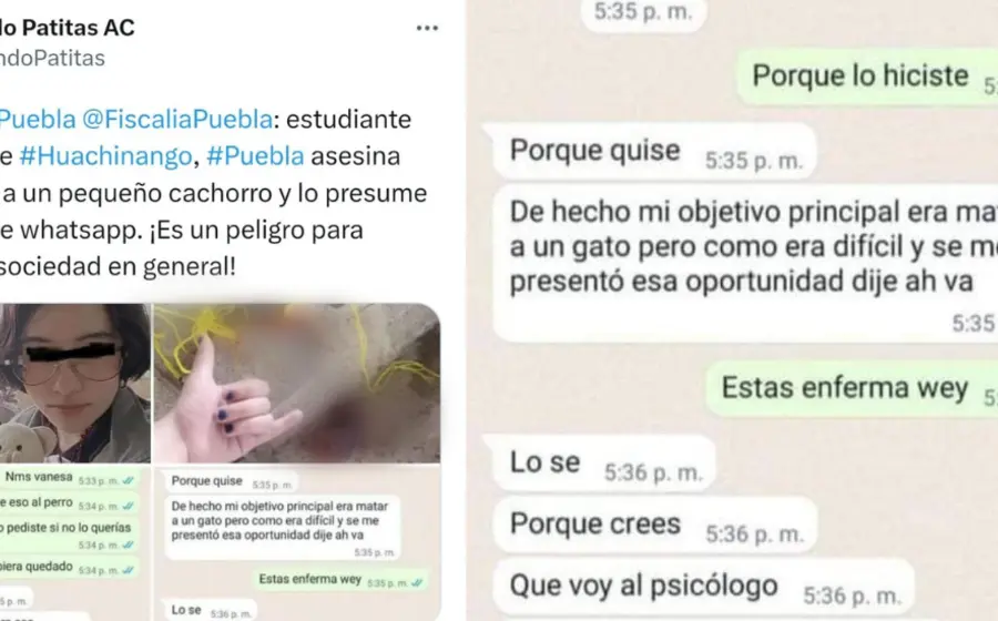 Twit de mundo patitas y captura de pantalla 