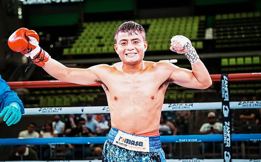boxeador 