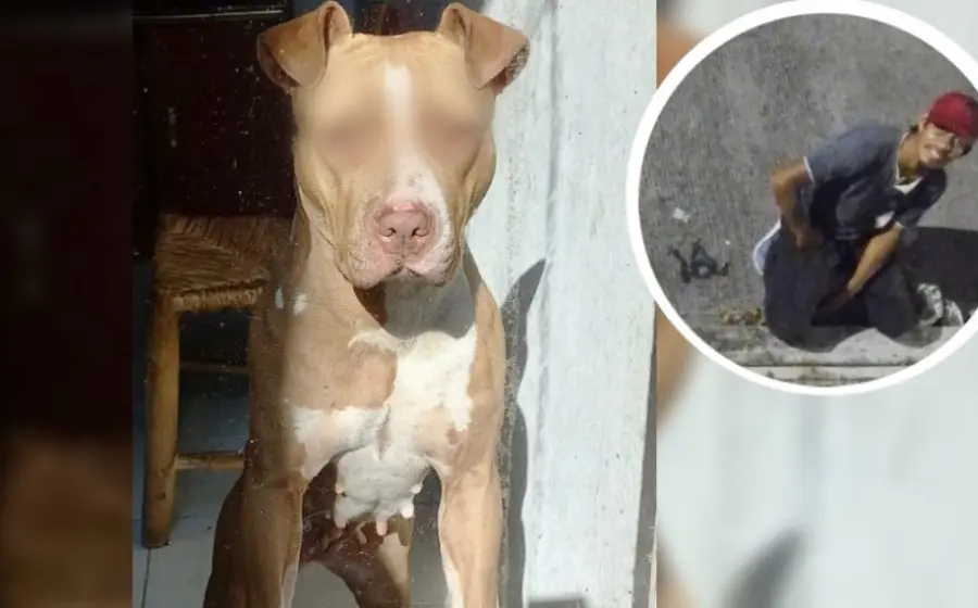 sujeto_abusa_de_perrita