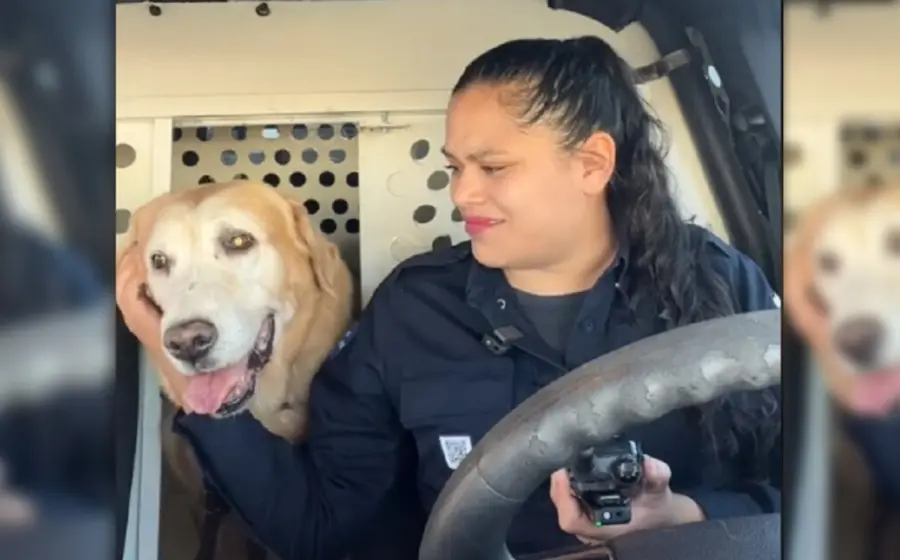 perro_policia_bubu_se_jubila