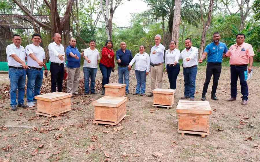 apicultura 