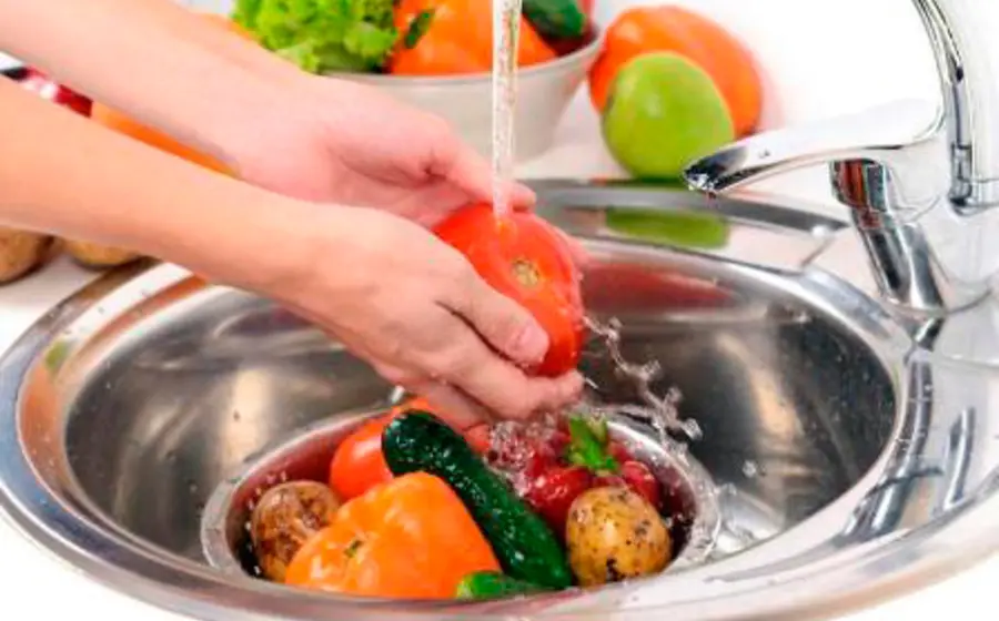 verduras 