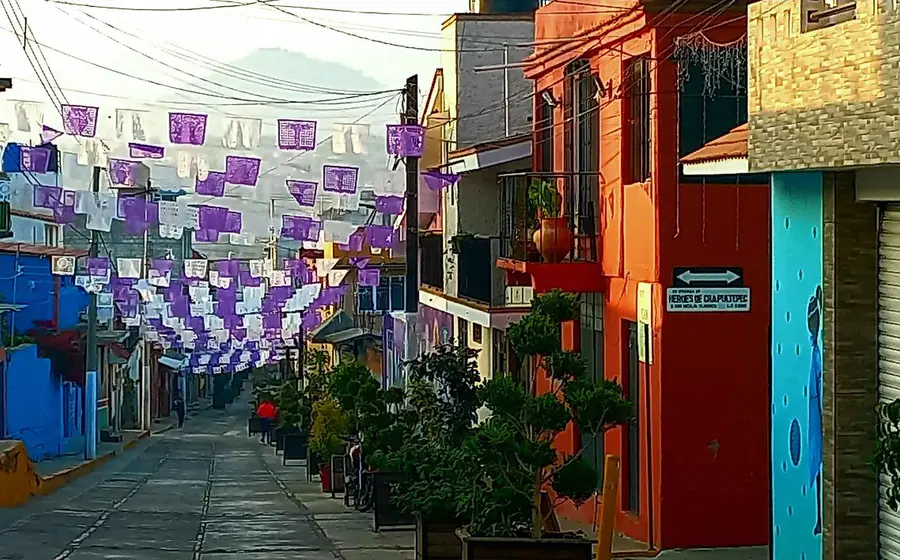 calle 