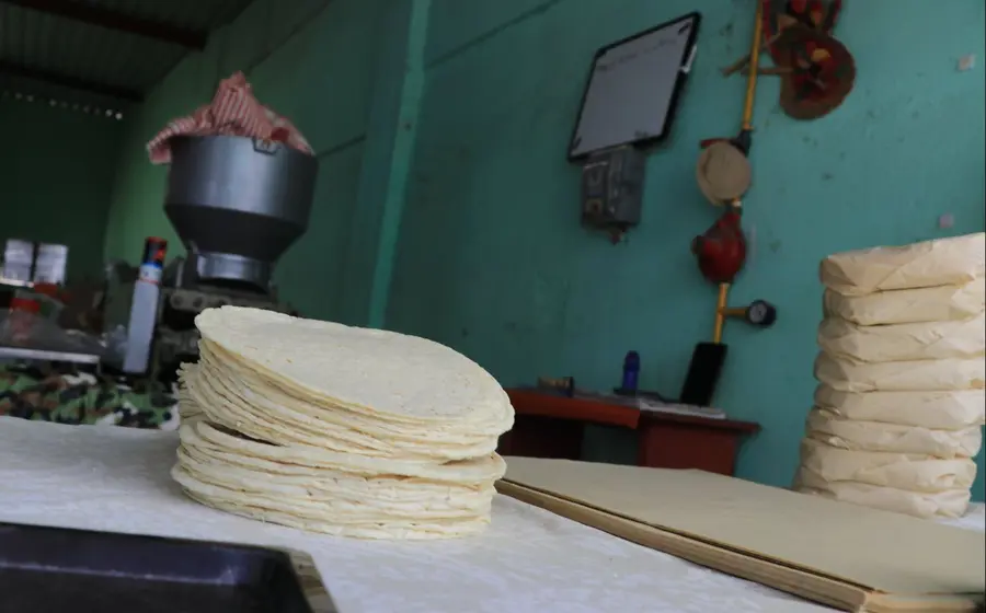 tortillas