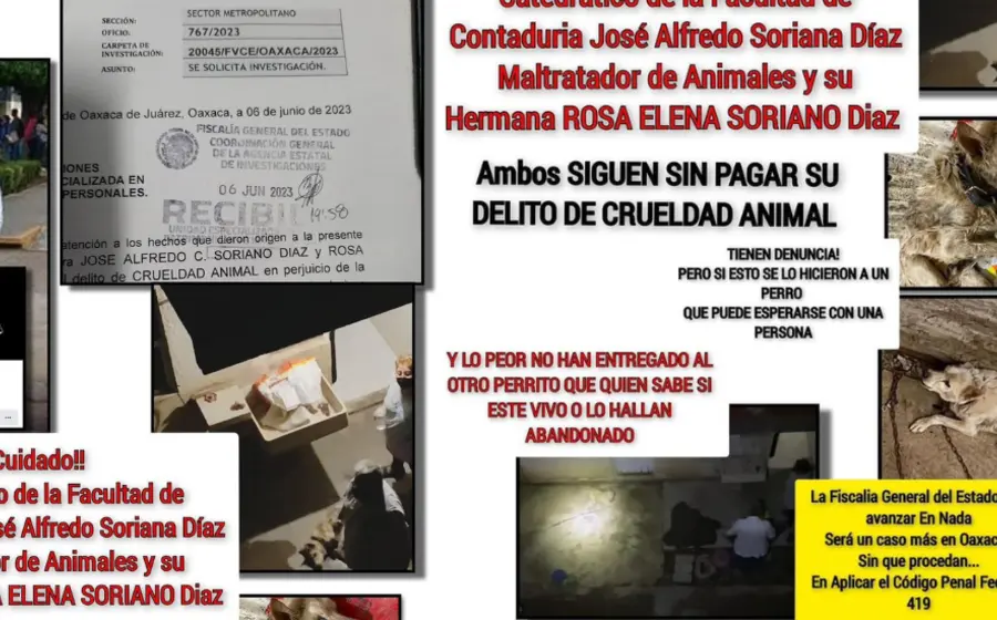 Cartel