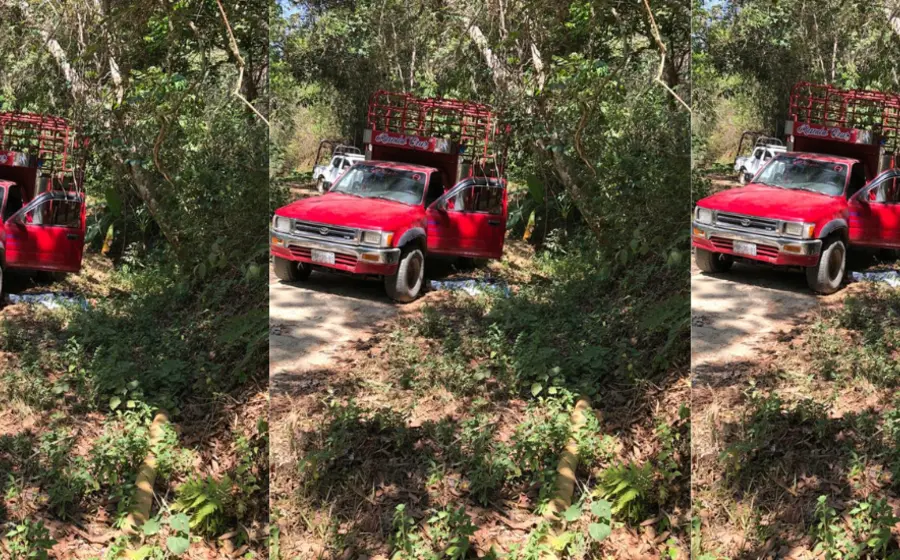 ataque_ganadero_en_carretera_huanacaxtle