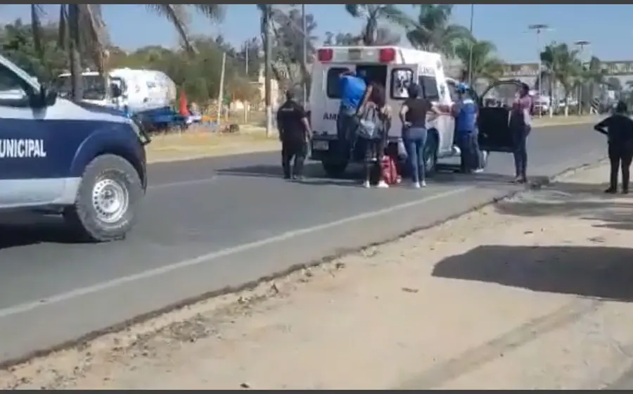 accidente_perrito_oaxaca