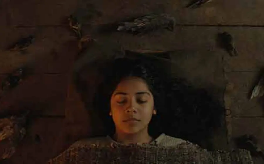 niña 