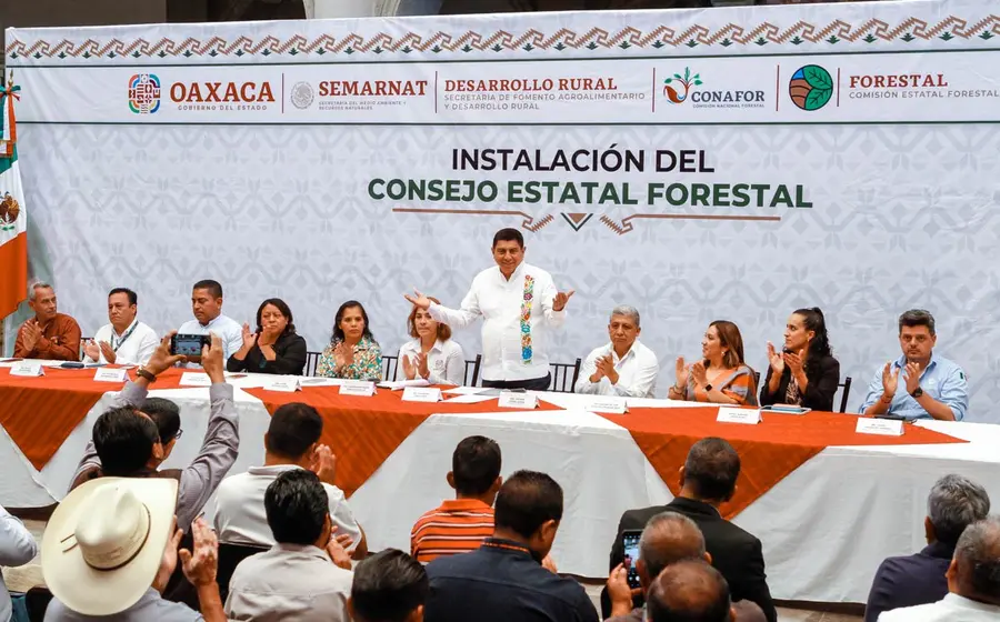 gobernador 