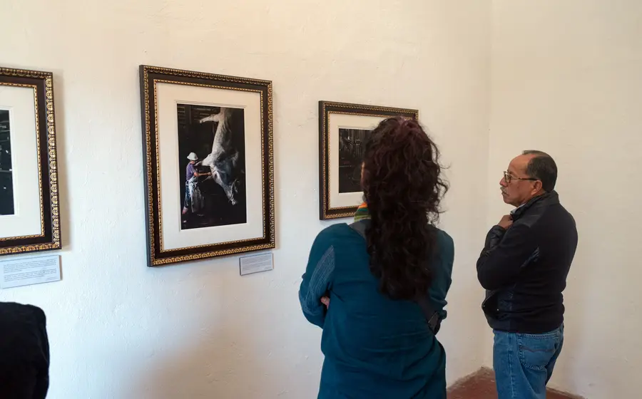 exposicion