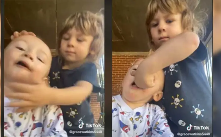 salva_a_su_hermanito_por_juguete
