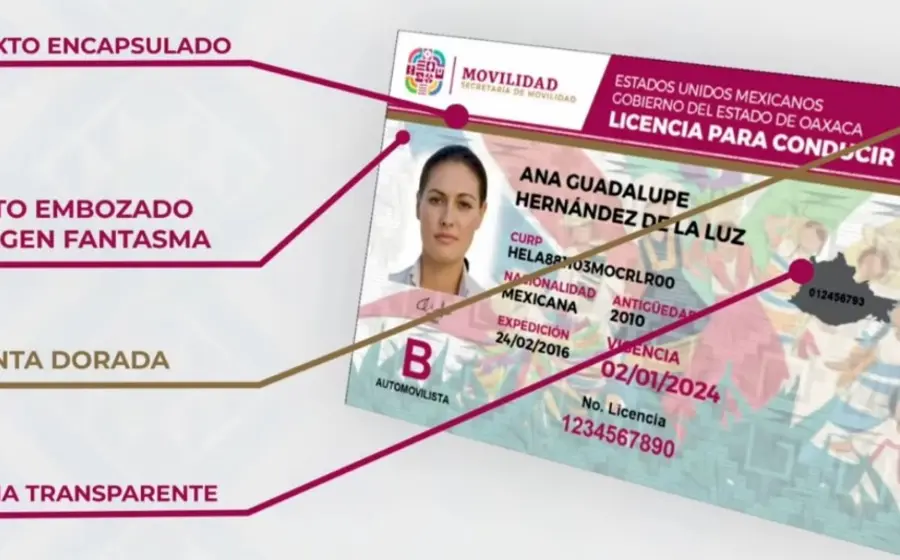 licencia_de_conducir