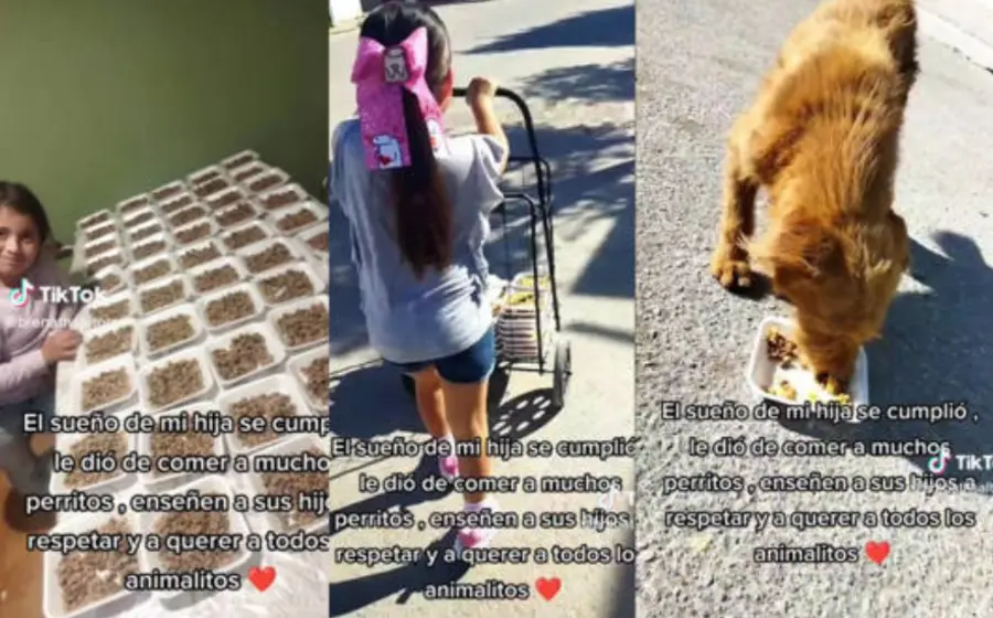 niña_prepara_banquete_para_lomitos
