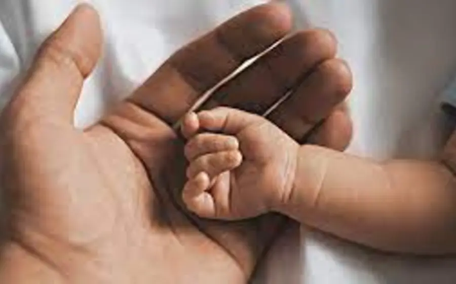 paternidad
