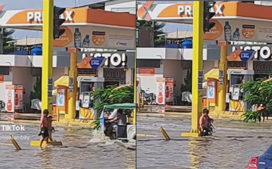 perro-niño-inundacion