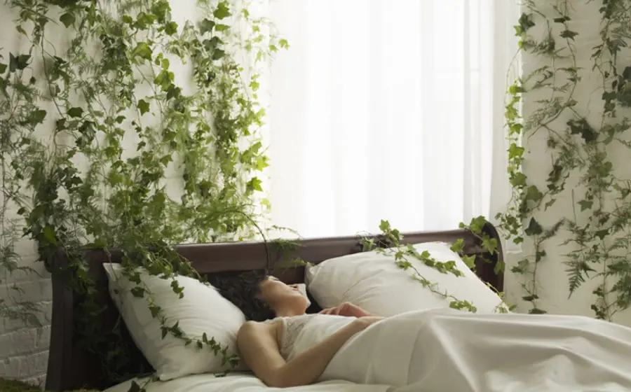 persona-en-cama