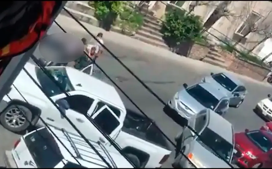 camionetas 