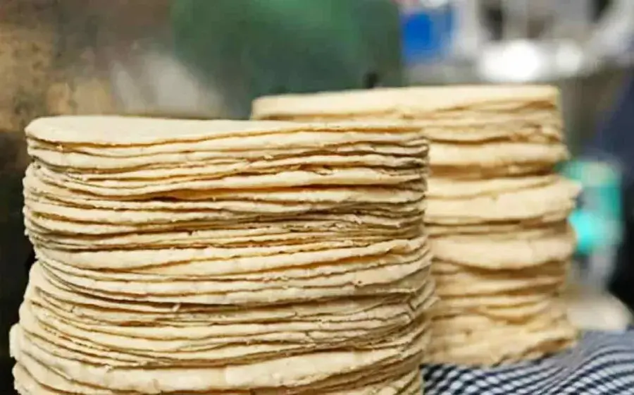 tortillas 